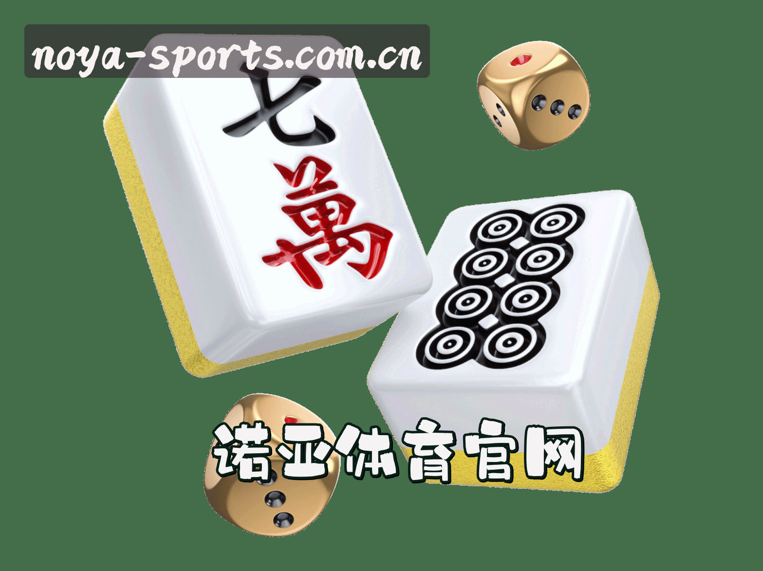 关于我们 - NOYA | 诺亚体育·官方网站